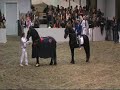 friese dekhengsten fabe en sape friese dekhengsten fabe en sape