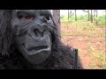FUMY Gorilla Hates Computers FUMY Gorilla Hates Computers