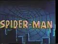 El Tema Musical en español latino de la clásica serie animada de 1967, como se conoció en México y América Latina en la decada de los 80's.La Letra:Spiderman, el hombre arañaspiderman, que teje la redspiderman, no temes a nadiespiderman, proteges el bien.Tus manos, alcanzana todo el que hace el mal.Ninguno se escapasi los agarras con tu tela especial.Spiderman, eres mi amigospiderman, tu sabes lucharspiderman, tu puedes vencerlosspiderman, con tu agilidadYo te pido que sigasactuando igualjusticia tu haras Con toda tu Fuerza!Música Original de Hain Saban & Shuri Y. Levy.Adaptación al Español por Erick Bulling & Santiago.Y por Supuesto,Interpretando desde Chile para el Mundo:¡El Fabuloso Capitan Memo!¡Asombroso,Sorprendente!© 2007 Marvel Characters, Inc. All Rights Reserved.La Voz del Locutor es el Legendario Melquiades Sanchez Orozco, Voz Clásica de la Television Mexicana y El Estadio Azteca.