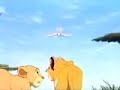 life-of-simba-and-nala.html