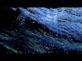 Antlers Drift Dive Official Music Video and Lyrics