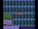 pokemon gold glitches: mini me code glitch pokemon gold glitches: mini me code glitch