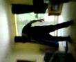 The stevie B dilly dance