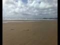 videos de Driving on the beach at black rock sands