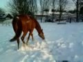 Annie and Joop say Merry Christmas in the Snow