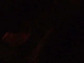 My Chemical Romance- Cancer- live @ Bamboozle Left