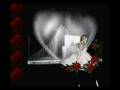 مش حب و بس _ هاني شاكر