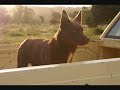Woof Ruff Grrr 04