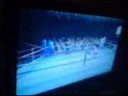 boxeo taro contra goe