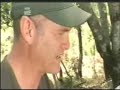 Two male lions kill very tough hyena. Two male lions kill very tough hyena.
