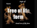 world of warcraft-all the druid forms