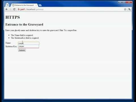 how to provide security in mvc3