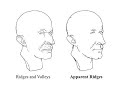 Apparent Ridges for Line Drawing Apparent Ridges for Line Drawing