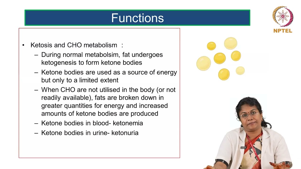 Carbohydrates