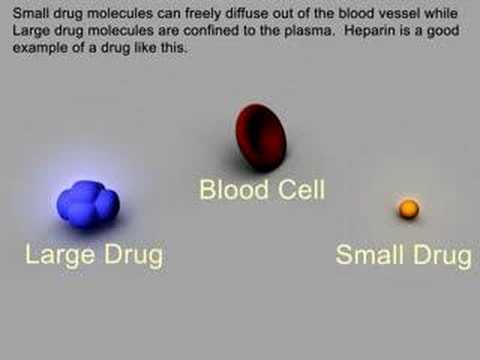 Factors Affecting Drug Distribution