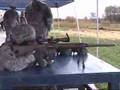 M110 Sniper Rifle
