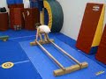 Clases de Ballette de Alejandra Galban (4 de6)