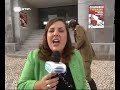 Contemporâneos - Festival gay e heterosexual Marialva