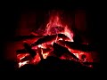 Firepit In The Summer Shot In HD