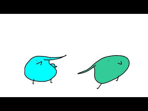 動画
