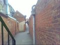 videos de Alfie Hewitt spring stuff