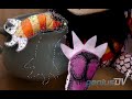 Puppet Warp tool in Photoshop CS5