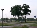 Politieke botsing over kap 235 bomen Teteringen Politieke botsing over kap 235 bomen Teteringen