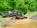 Jeep Idiot