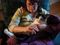 Cutting a Big Calico Cat\ Cutting a Big Calico Cat\