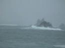 Icebergs at Carbonear