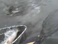 Out4trout2tk2.mov