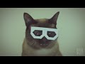 stereo skifcha | dubstep cat [10 HOURS VERSION]