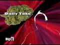 Daily Toke on Digi QUITS Daily Toke on Digi QUITS