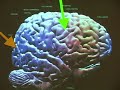 Hacking the brain by predicting the future and inverting...