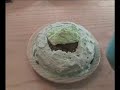 The Creation