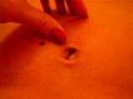 navel