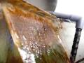 videos de algae-turf-scrubber-1
