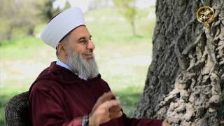 برنامج - مناهج الدعوة - الحلقة الثالثة عشر - @alerthTV