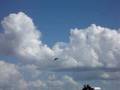 XH558 first display after returning to flight. unedited