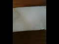 video01