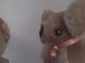 KOALAJAY