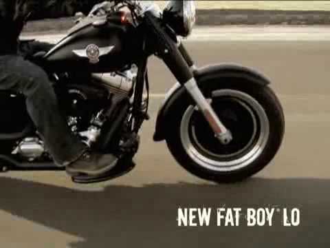 2010 Harley Davidson Fatboy Lo. 2010 harley davidson fatboy lo