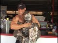 New bodybuilding DVD: Guns Vol. 19 preview