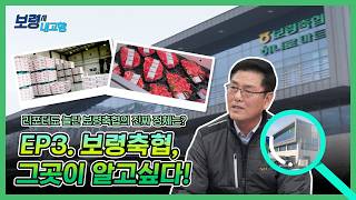 리포터 유라와 함께 떠나는 보령축협 탐방기