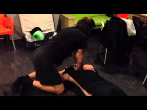 Sonata Arctica's European Tour 2012 Video Diary pt6m4v