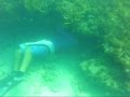 videos de GAME CHASERS SPEARFISHING PART I.wmv