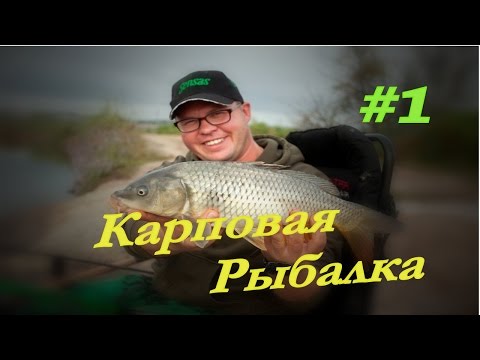 ловля карпа на фидер ютуб ловля карпа на фидер ютуб