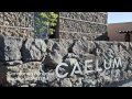 EL DISFRUTE VINOS BODEGAS: Entrevista a Constanza Pimentel Titular de @BodegaCaelum