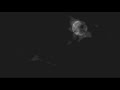 WULFGAR - Acker Der Angst