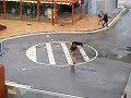 Perro desespera a pija